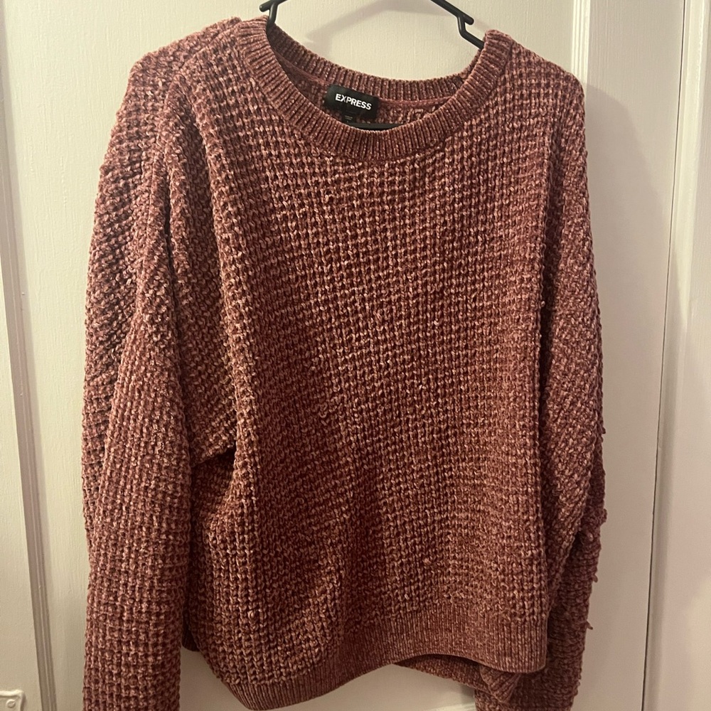 Express Women's Sweater